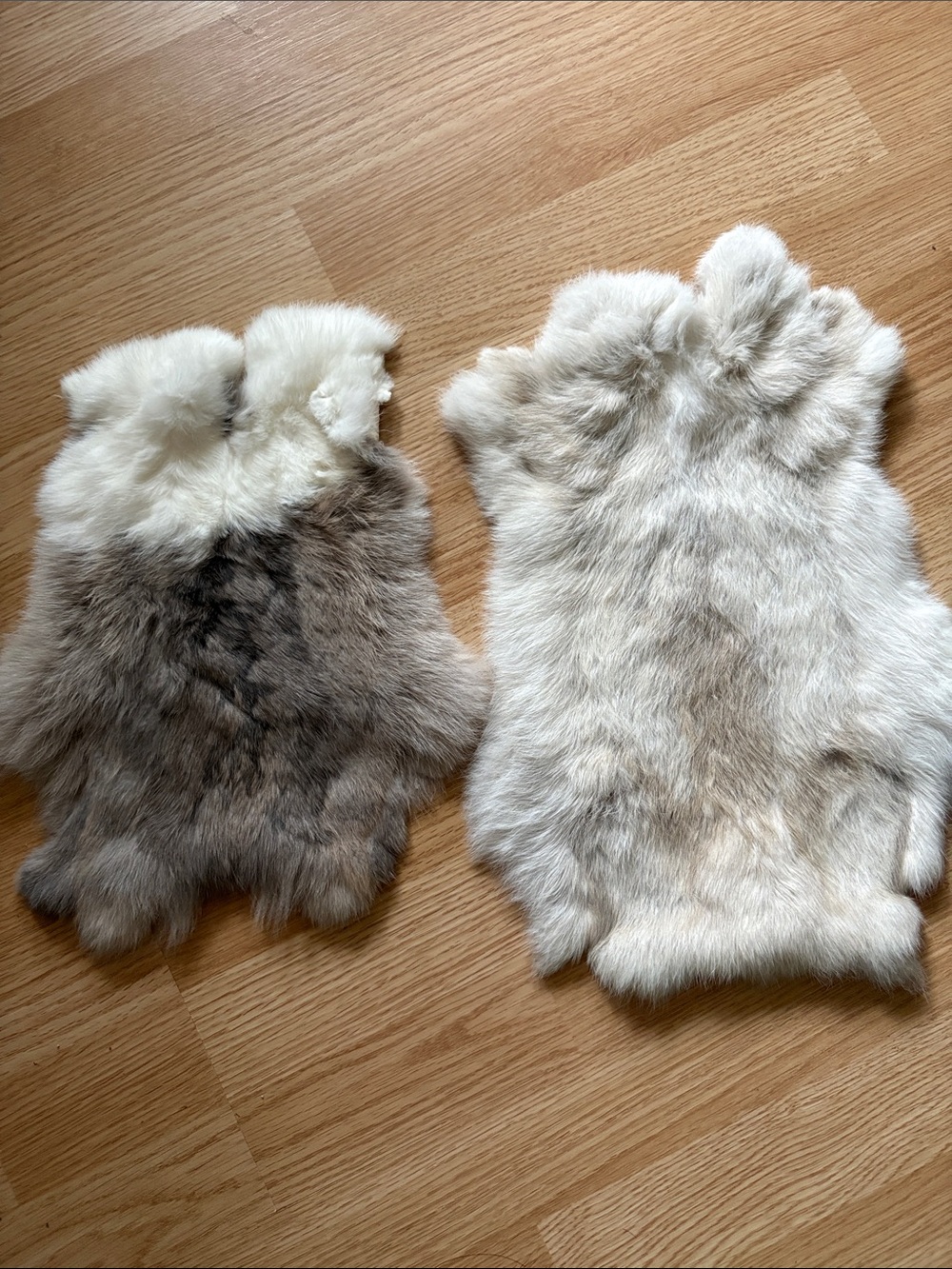 B0256 set rabbit pelts craft supply